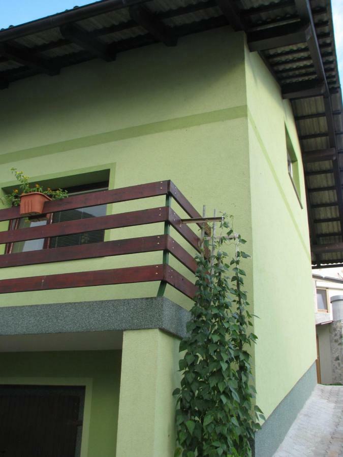 Apartma Juha - Breg pri Borovnici Екстер'єр фото